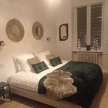 Apartment 3p Rdc Orangerie- Parlement Europeen Strasbourg